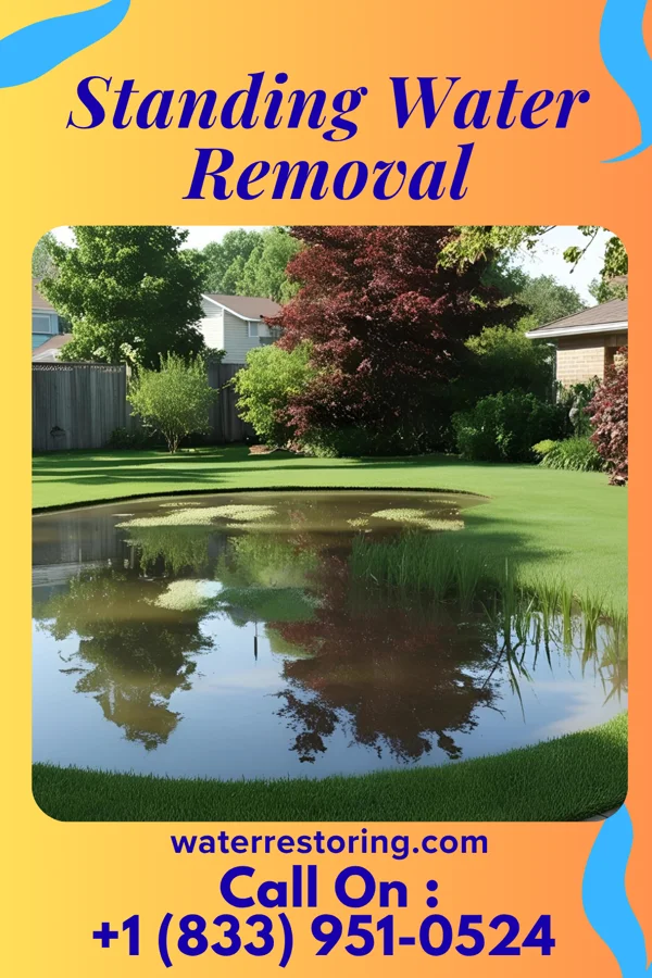 Standing Water Removal in Concord, NC